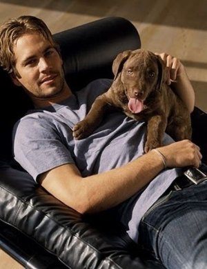 celebrity_men_and_their_dogs_640_13.jpg