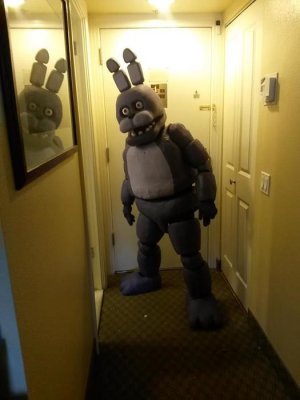 bc59be4d74ef483429293dc65d037328--fnaf-costume-cosplay-costumes.jpg