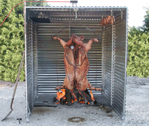 cochon02300.gif