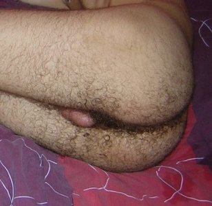 HAIRY ASS 5.jpg