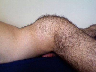 hairy butt 2.jpg