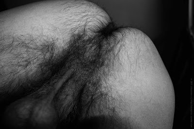 hairy hole 3.jpg