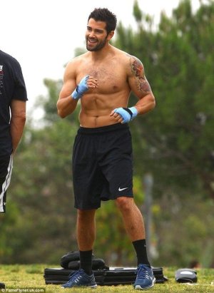 Feast your eyes on this! Shirtless Jesse Metcalfe shows off his ripped six-pack with a boxing wo.jpg