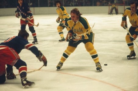 California-Golden-Seals-featured-Brad-Kurtzberg.jpg California-Golden-Seals-featured-Brad-Kurtzberg.jpg