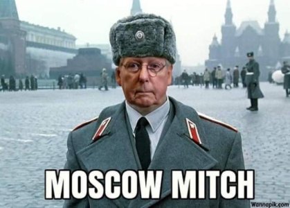MoscowMitch.jpg