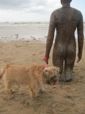 IMG_8851 18.8.19.jpg