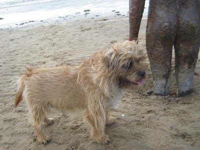 IMG_8853 18.8.19.jpg