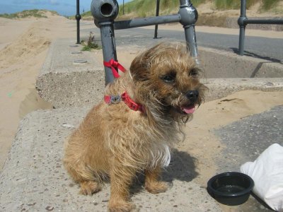 IMG_8870 18.8.19.jpg