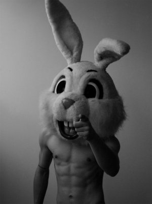 ripped-bunny.jpg
