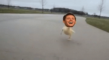 Deano Duck .gif