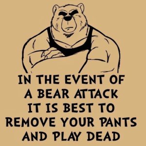Bear  Attack.jpg