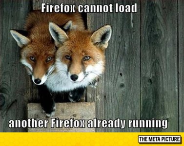 firefox-heads.jpg