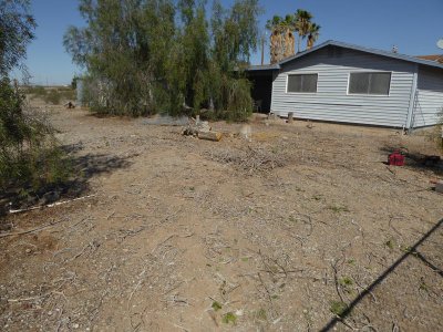 P1000477.jpg P1000477.jpg