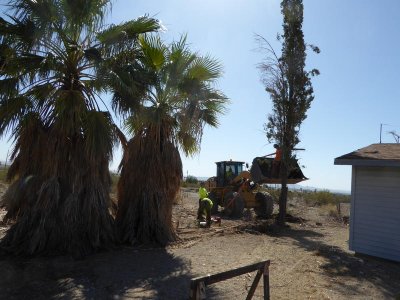 P1000483.jpg P1000483.jpg