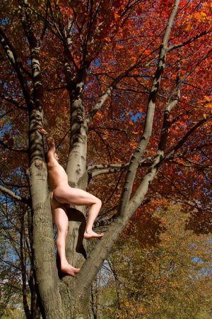 Male-nude-in-tree-with-autumn-colors.jpg