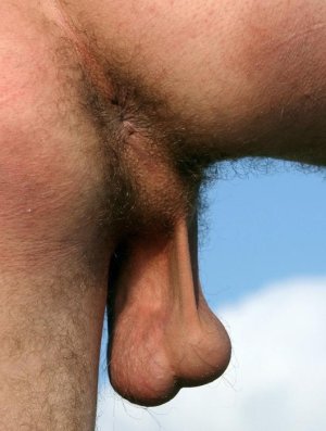 detalle 30304 2934 2.jpg