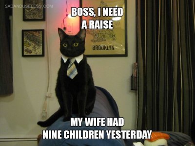 business-cat-asking-for-a-raise.jpg