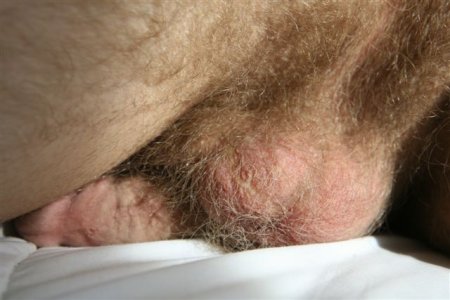 detalle 6500 546456.JPG