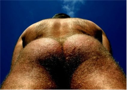 culo 34034 34 34 34.jpg