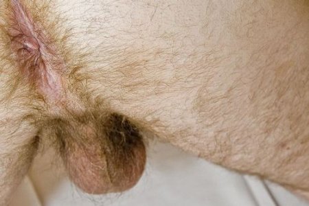 perin  4949394 53`45pi3j4 5.jpg