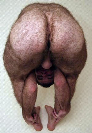 vello si9 d9sd 9sd.jpg