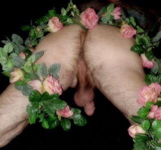 flores rosas primavera.jpg