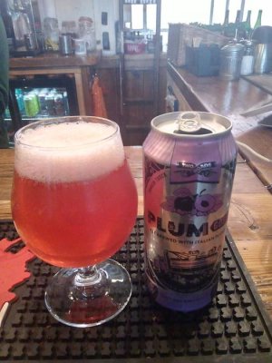 Plum Gose 1.jpg