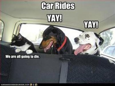 car-rides-funny-pictures.jpg
