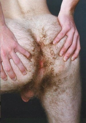 destac  f0e f0e f.jpg