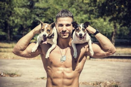 man-dogs-small.jpg.824x0_q71_crop-scale.jpg