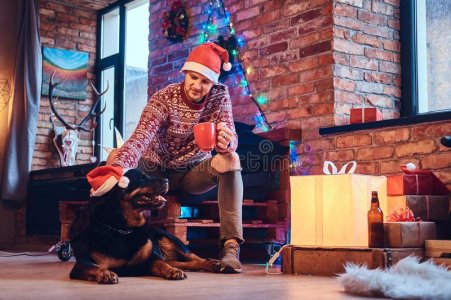 attractive-bearded-hipster-male-his-rottweiler-dog-room-christmas-decoration-man-104845884.jpg