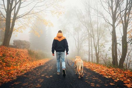 man-with-dog-in-autumn-nature.jpg