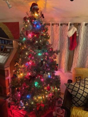 D9C8D0E5-A22B-489B-B050-79E4D3AEA57A.jpg D9C8D0E5-A22B-489B-B050-79E4D3AEA57A.jpg