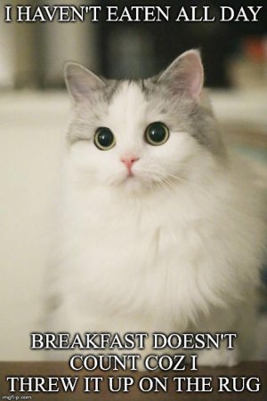 538725797 3hfvar.jpg