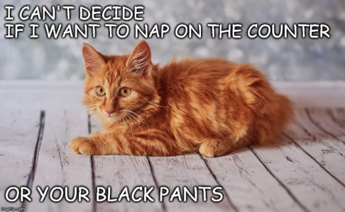 671541538 3hfw9x.jpg