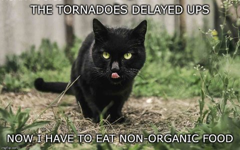 5083961036 3hfzwo.jpg