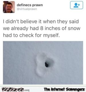 eight-inches-of-snow-joke.jpg