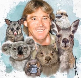 australian animals.jpg