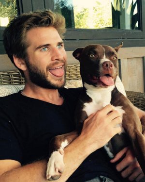 020216-Liam-Hemsworth-dog.jpg