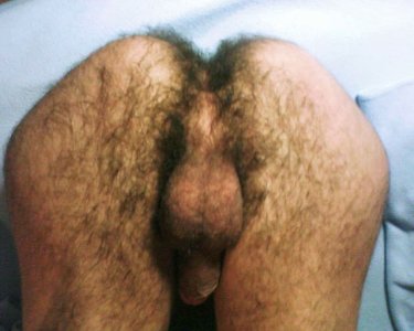 heartnonymous Bush Bud from Portugal 10.JPG