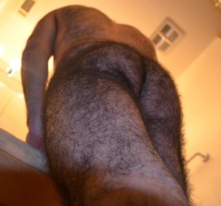 piernas 453´çñ4km5.jpg