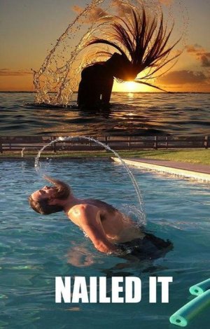 Nailed It .jpg Nailed It .jpg