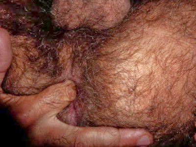 HairyAss.jpg