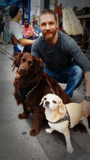 ef0c96e6e07e15b419bd981e4edaca68--tom-hardy-with-dogs-tom-hardey.jpg