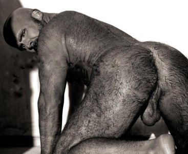 vellos 45435rt43554.jpg