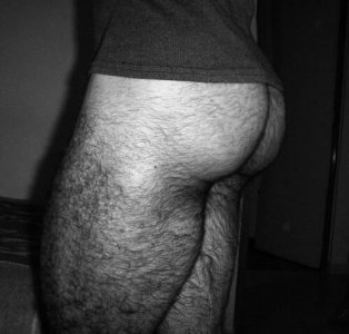 zzzsinpan  e'r e'r¡.jpg