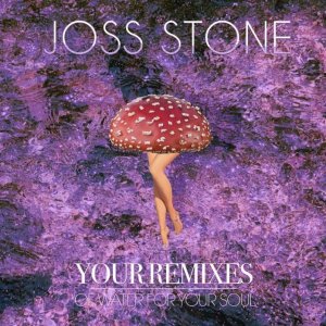 DOWNLOAD ALBUM_ Joss Stone   –  Your Remixes o.jpg