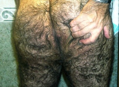 qmuy velludo 0 t¡et0.jpg