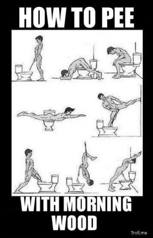 morning wood.jpg