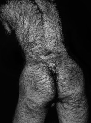 vello oer¡w'r¡wr.jpg